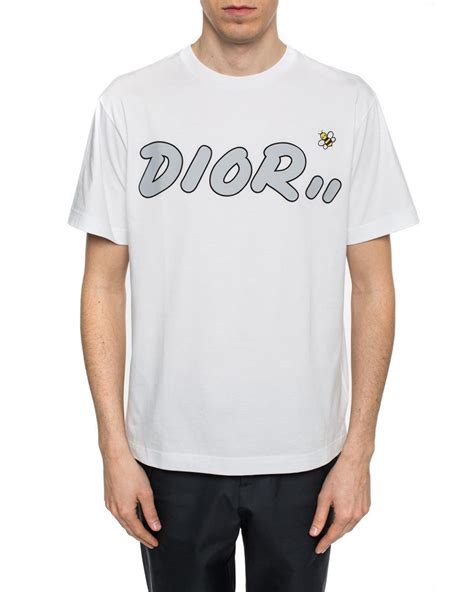 kaws x dior t shirt.